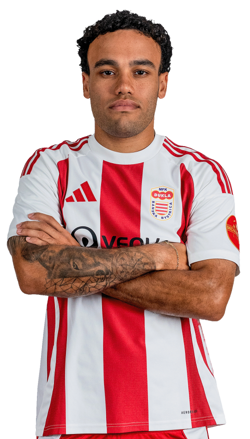 Davi Esteves De Freitas Alves