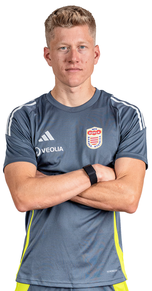 Dominik Veselovský