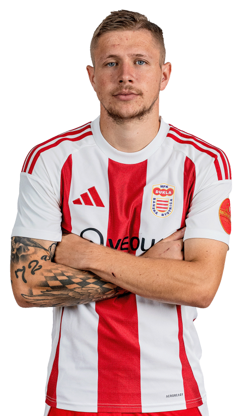 Dominik Veselovský