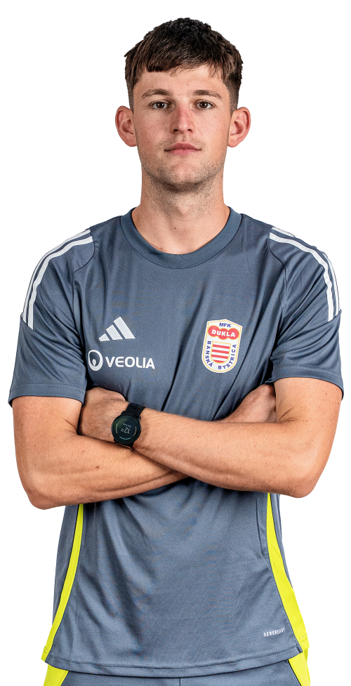Dominik Veselovský