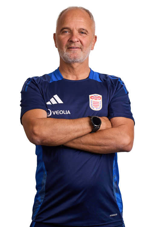 Dominik Veselovský