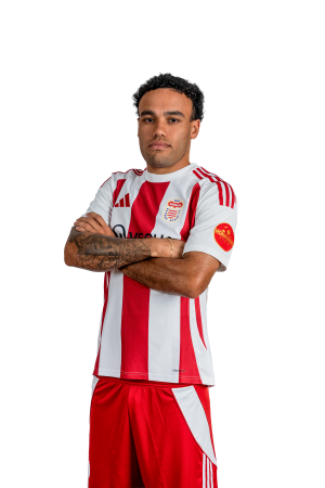 Davi Esteves De Freitas Alves