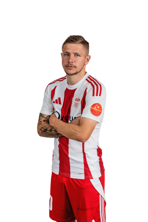 Dominik Veselovský